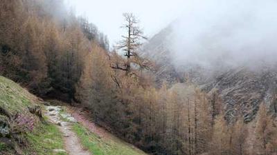 电影预告片封面